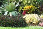 Archies Creektropical-landscaping-9.jpg; ?>